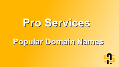 Pro Services Popular Domain Names