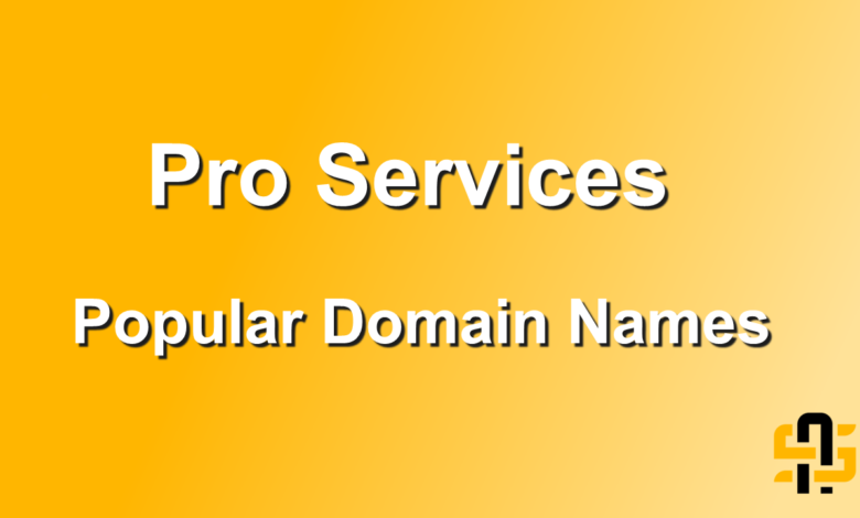 Pro Services Popular Domain Names